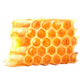 HoneycombHorsemint.png