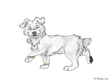 DaisyBraceletsCorsie.png