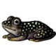 StarryNightReedFrog.png