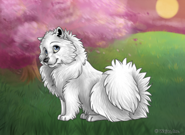 CherryBlossomSunsetWallpaperSpitz.png