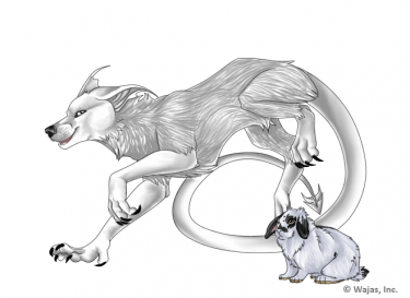 KaylieImp.png