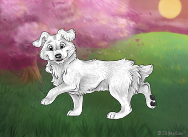 CherryBlossomSunsetWallpaperCorsie.png