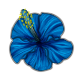 HibiscusBlue.png