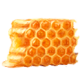 HoneycombSourwood.png