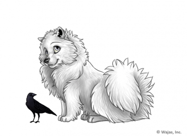 CrowSpitz.png