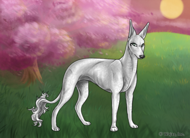 CherryBlossomSunsetWallpaperEgyptian.png