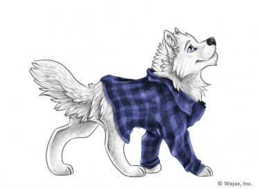SweaterFlannelBlueNormal.png