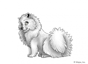 WhiskersSpitz.png