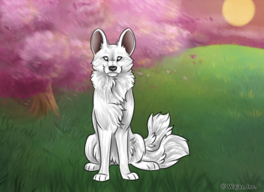 CherryBlossomSunsetWallpaperAfrican.png