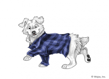 SweaterFlannelBlueCorsie.png