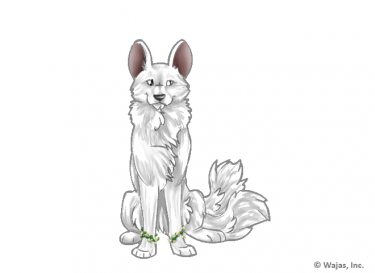 DaisyBraceletsAfrican.png