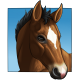 FoalBay.png