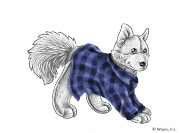 SweaterFlannelBluePlushie.png