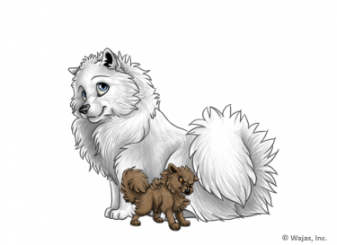 PuppyAngryBrownSpitz.png