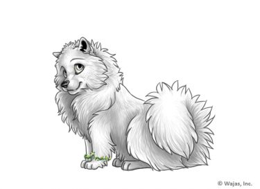 DaisyBraceletsSpitz.png