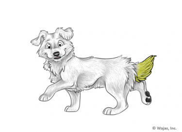 FurtensionTailYellowCorsie.png