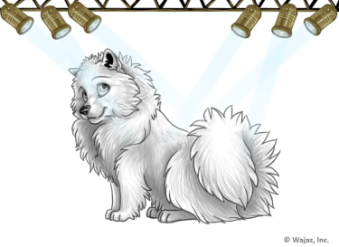 StageLightsYellowSpitz.png