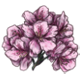 RhododendronPink.png