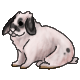 Kaylie.png