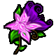 TailFlowers.png