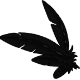 FeathersTailCrow.png