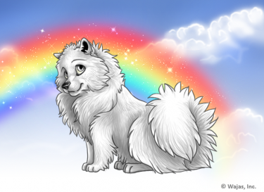 RainbowCloudsWallpaperSpitz.png