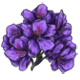 RhododendronPurple.png