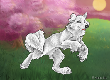 CherryBlossomSunsetWallpaperEarth.png
