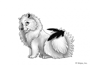 FeathersTailCrowSpitz.png