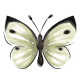 WhiteButterflies.png
