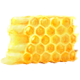 HoneycombBlackLocust.png