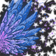 IridescentWingsBlue.png