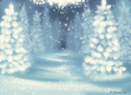 Thumbnail for version as of 08:06, 21 December 2015