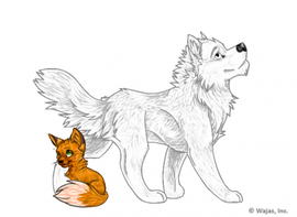 baby-fox-the-wajas-wiki