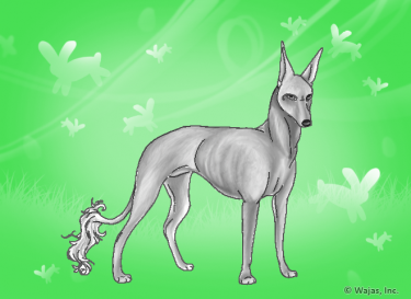 RainingEasterBunniesGreenWallpaperEgyptian.png